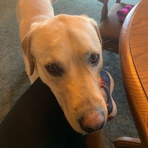 Meet your Posher, Katie